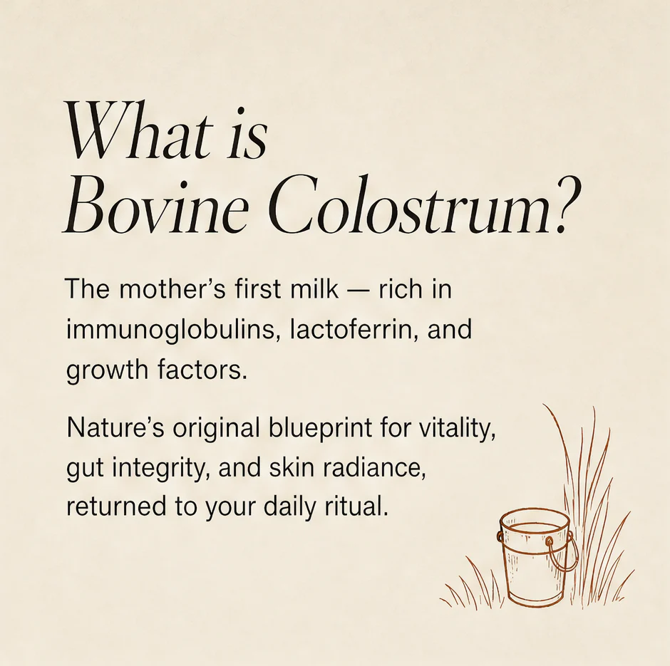 Bovine Colostrum - Image 3