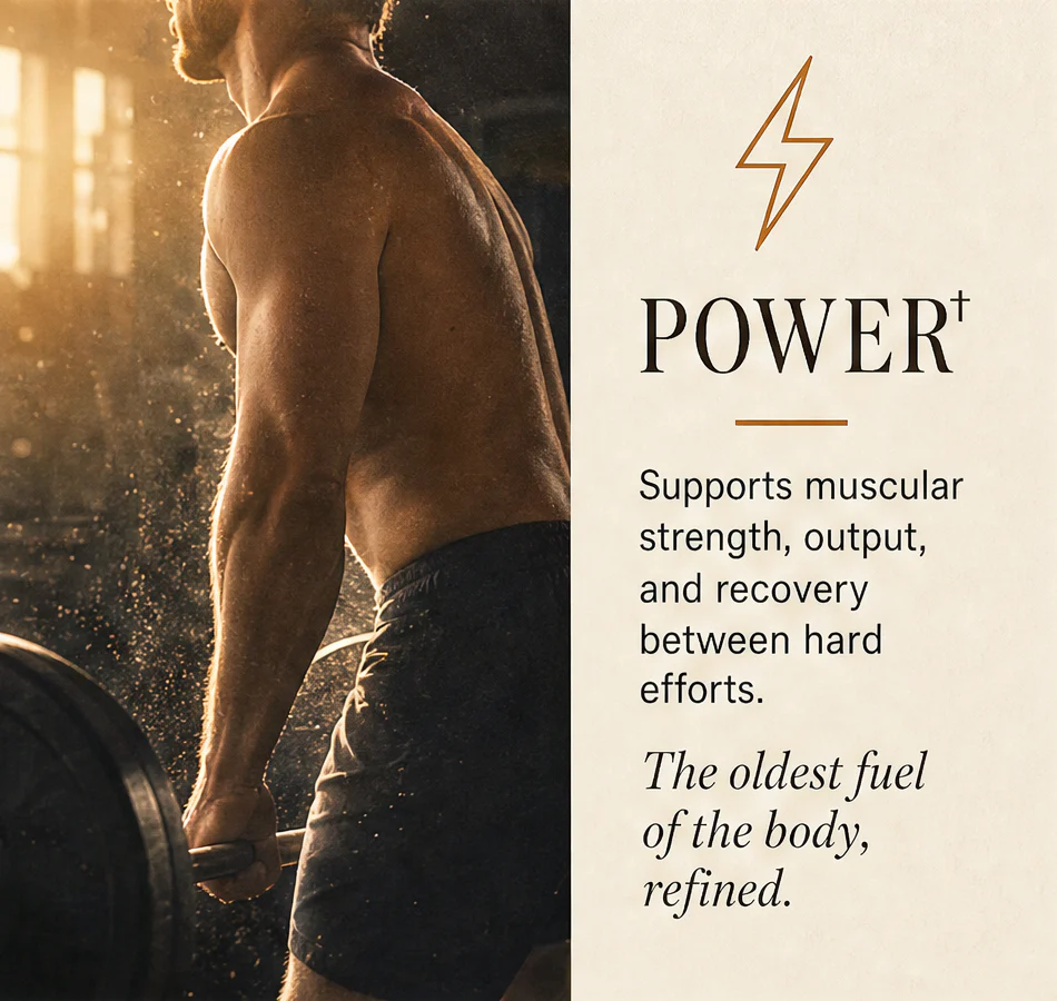 Micronized Creatine Powder - Image 5